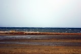 The beach