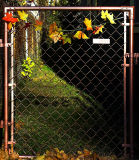 gate with leaves<br>by inframan