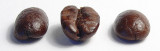 <B>Dark Roast. Mmmmm...</b>
