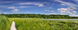 <b>7th</b><br>Natures Way  Summertime