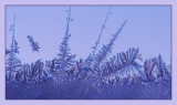 Frost*<br>by mlynn