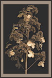 Winter Bounty<br>by inframan