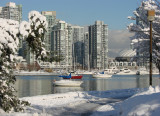 <b>9th (tie)</b><br>False Creek snow<br>by Debby D
