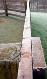 Frosty Feline Walkway