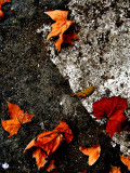 macadam