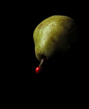 Eclipse* by Barbara Corvino
