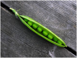 <b>HM</b><br>peas