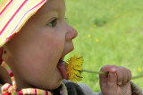 special lollipop