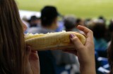 hot dog!
