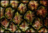 Pineapple Perspective<BR>by photocat37