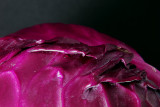 Cabbage Close-up<BR>by photocat37