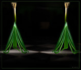 <b>7th Place</b><br>Ladies-Of-Shalott <BR>  by irish_eye