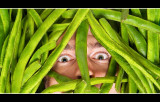<b>HM</b><br>Bean there, done that