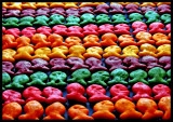 <b>4th Place</b><br>Sea of Goldfish<BR>by Stacy R. & photocat37
