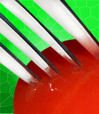 <b>10th Place</b><br>some prefer salad<br>by Arjun