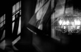 Lightly Reflected