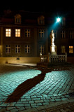 Statue shadow<br>by Wojtas