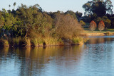 Laguna Blanca Reflection* <br> by Terry Straehley