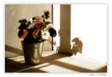 a bucketful of flowers
