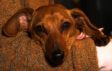 t6%2f06%2f8406%2f4%2f74373227.IsazwqWS.jpg