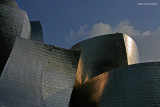Angles by Gehry*