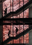 1st  <br>Scenic Staircase *<br>by Nifty