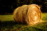 Kansas hay bale