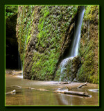 <b>9th Place</b><br>Stephens Falls