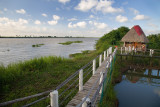 Punta Manglar