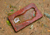 Footprint