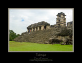 12102006-Palenque-Z-163