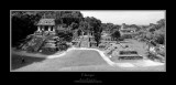 Palenque Vista-BW.jpg