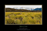 03252007-Mono Lake-ZP-172