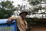 Ox-cart stuck on old Khmer bridge