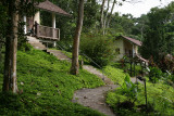 jungle lodge El Jardin Aleman in the rainforest