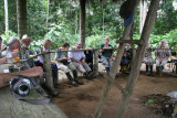 lunch in the jungle