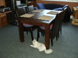 Fluffy 1.jpg