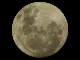 Moon 7.jpg