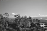 A Date With Beauty, From The Suburbs To The Bay B&W
