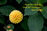 Inspirational 00005.jpg