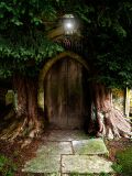 Entering Narnia by Flick Merauld- 2nd place