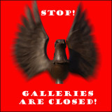 Galleries closed