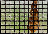 behindbars