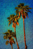 Tres Palms 03 by Paul Wear