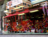 Flower Shop window & trolly  -- Catman