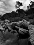 Cape Conran rockpool by Dennis