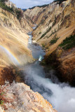 Grand Canyon of Yellowstone