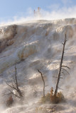 Mammoth Hot Springs - Lower Terraces