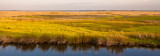 _MG_5771-Edit_Print.jpg