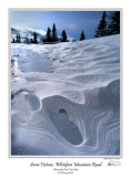 Snow Texture.jpg